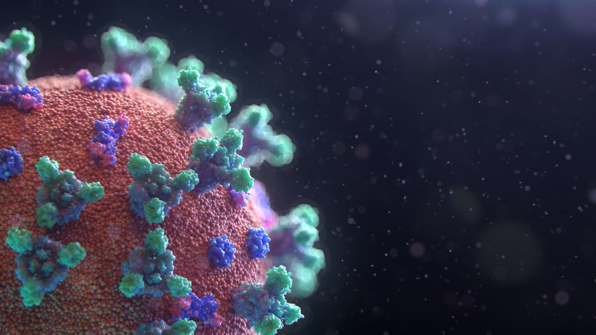 A close up rendering of a corona virus molecule with enhanced colours.