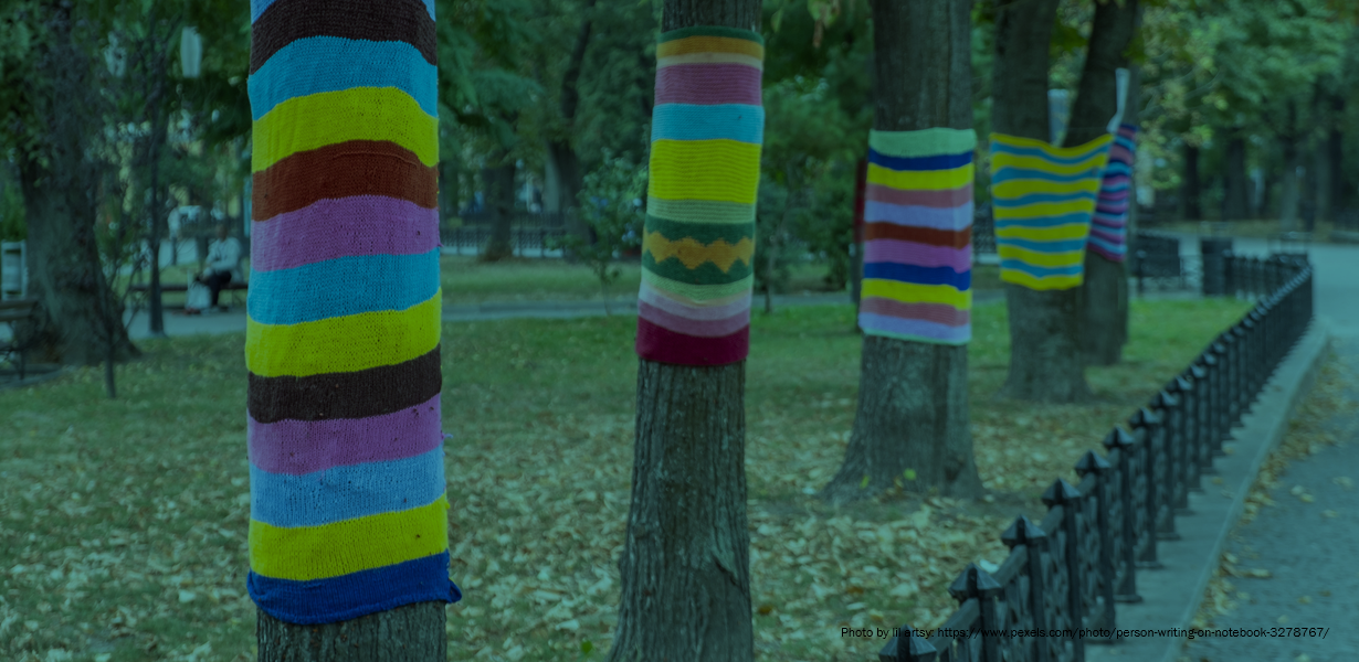 photo of trees with yarn bombing rainbow coloured sleeves, lining the side of a road.